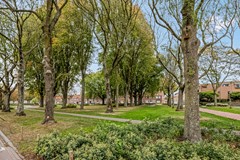 Weefmeesterstraat 32 Tilburg-20.jpg